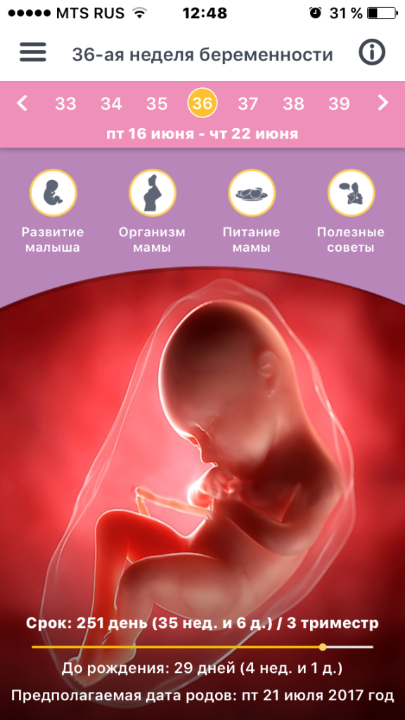 шторы турецкими 12 недель беременности температура 36 детям