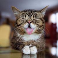 Оксана