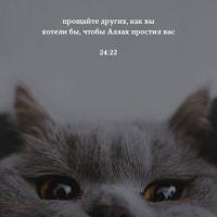 люблю