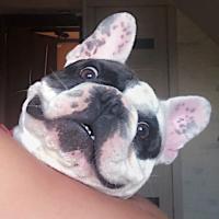 Alêna