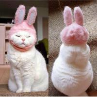 Юлия