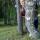 brunter062