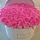 nur_salsi