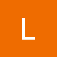 Lyuda 