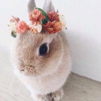 Катерина