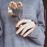 Shya555