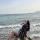 natali.sh