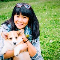 Asema