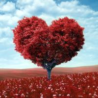 This_Is_Love