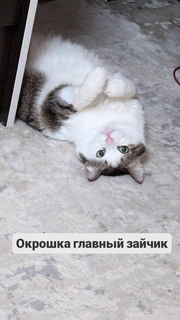 post image 2