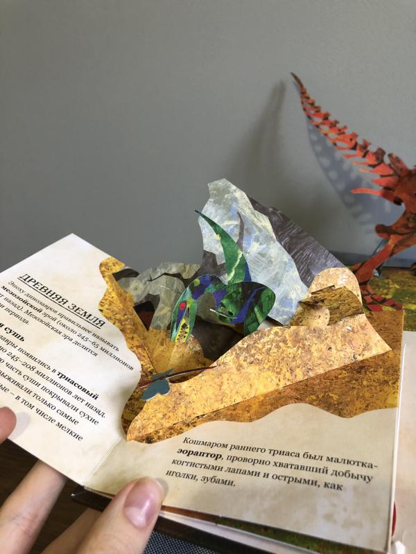 post image 4