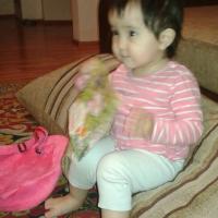 indira
