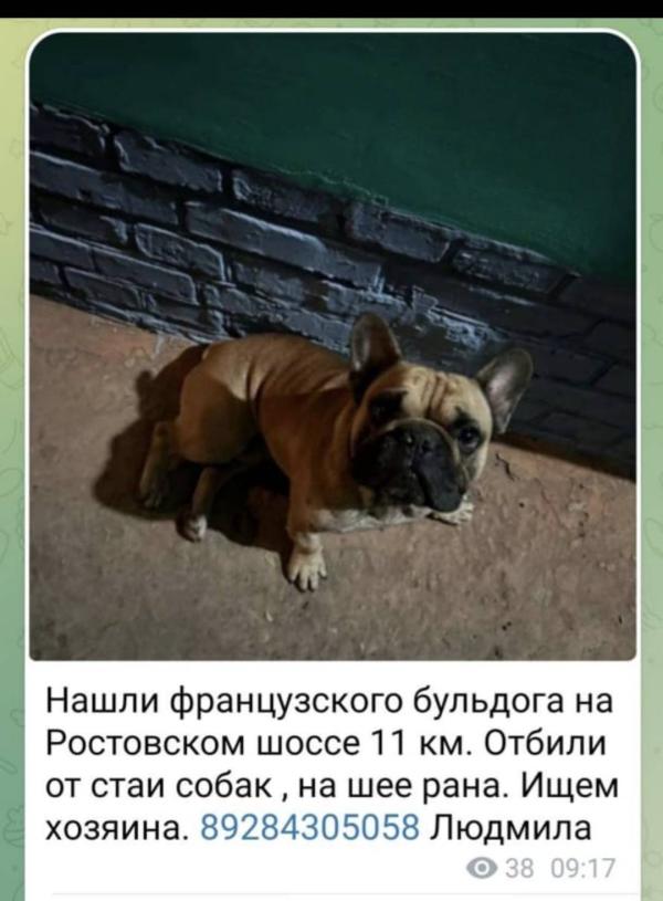 post image