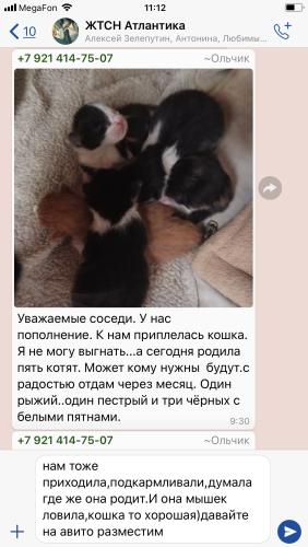 post image