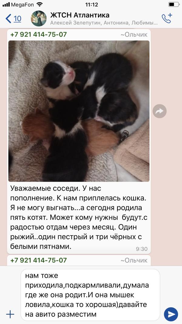 post image 1