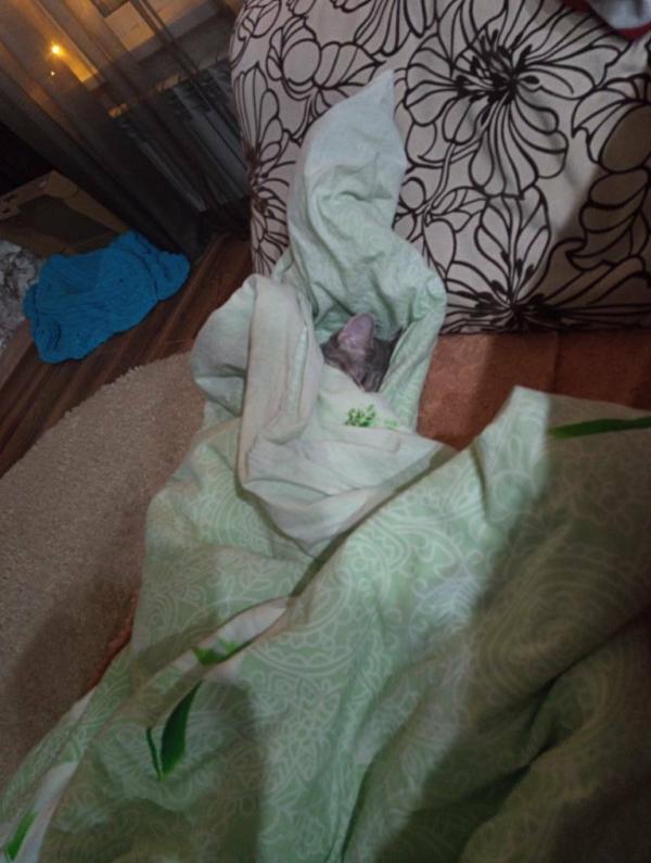 post image 2