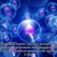 Марха