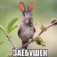 Ася