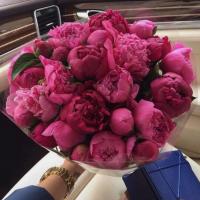 Счастливая🌷