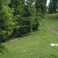 Радийера Аргынтаева