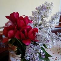Попова Елена