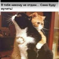 bublik.da