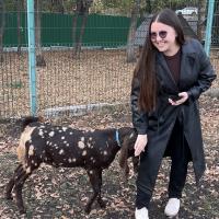 Карина
