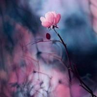 Кузя