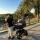 olik_1010