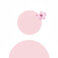ami