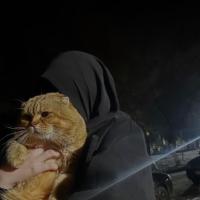 Аля