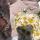 taymiya.aliyeva.96