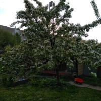 Марина Клубничкина