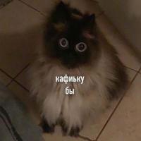 Лиза