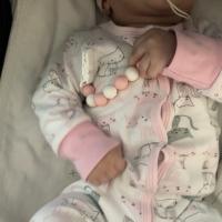 Leyla