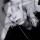 andreeva22000