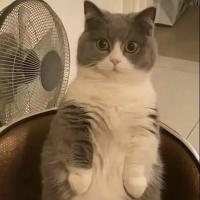 mmh