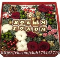 ШОКОБОКСЫ 