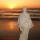 elina_gadzhiyeva