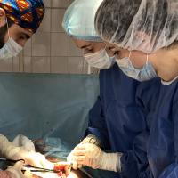 dr.gineko
