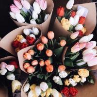 Катерина 