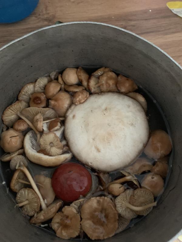 post image 5