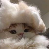 Elena.kurushina@mail.ru