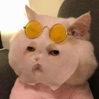 Ксения