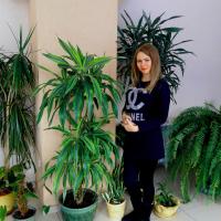 Алена Казиева