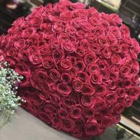 Айлин 🌹🌹