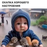 Анастасия Шишкова