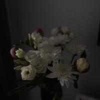 Any