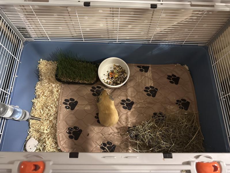 post image 5