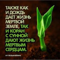 UmmSSS